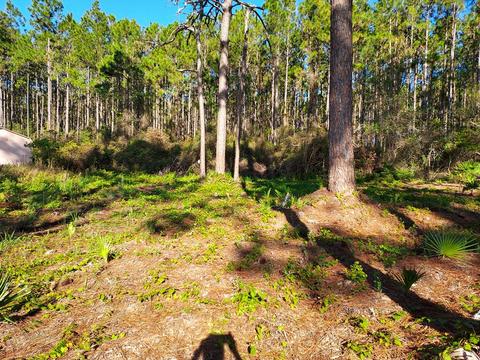 3161 Hwy 98 E, Carrabelle, FL 32322 photo 6