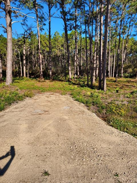 3161 Hwy 98 E, Carrabelle, FL 32322 photo 14