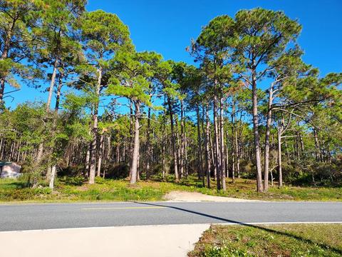 3161 Hwy 98 E, Carrabelle, FL 32322 photo 1