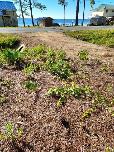 3161 Hwy 98 E, Carrabelle, FL 32322 photo 13