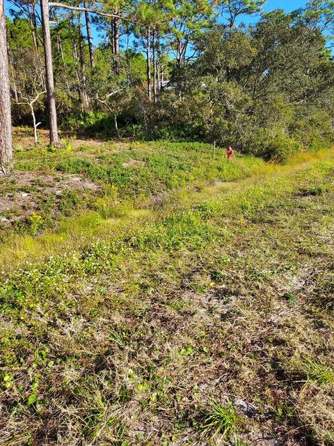 3161 Hwy 98 E, Carrabelle, FL 32322 photo 16