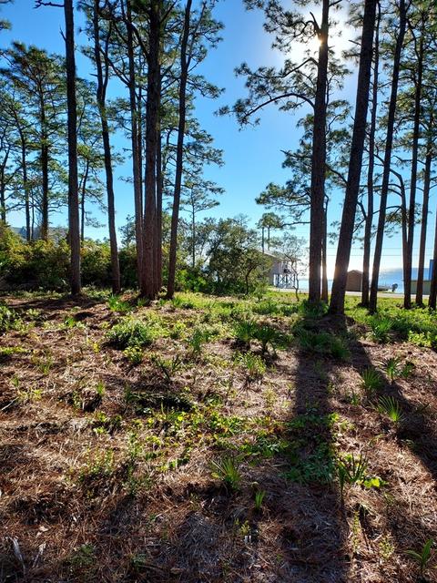 3161 Hwy 98 E, Carrabelle, FL 32322 photo 9