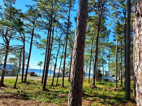 3161 Hwy 98 E, Carrabelle, FL 32322 photo 11