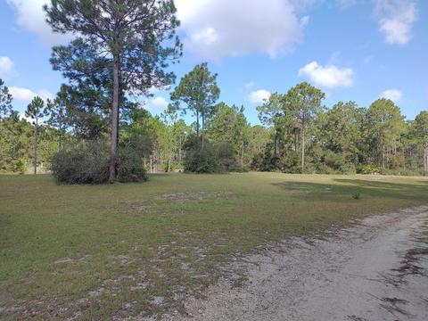435 Mill Rd, Carrabelle, FL 32322 photo 33