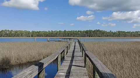 435 Mill Rd, Carrabelle, FL 32322 photo 32