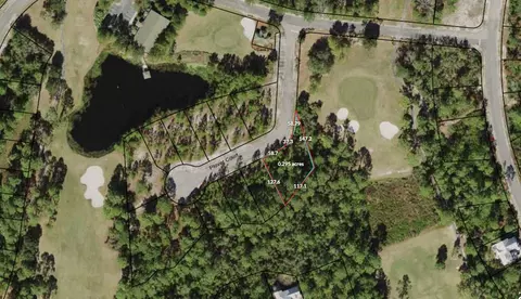 111 Plover Ct, Carrabelle, FL 32322 photo 1