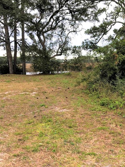 1563 Carraway Ct, Carrabelle, FL 32322