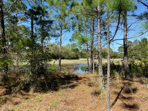 120 Plover Ct, Carrabelle, FL 32322 photo 1