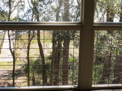 2518 Hwy 98 E, Carrabelle, FL 32322 photo 29