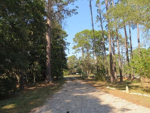 2518 Hwy 98 E, Carrabelle, FL 32322 photo 3