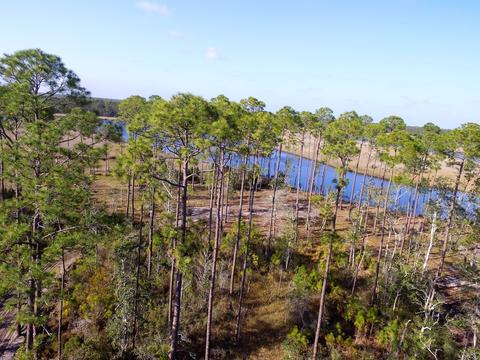 352 Jay Jay Way, Carrabelle, FL 32322 photo 15