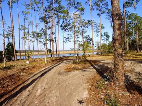 352 Jay Jay Way, Carrabelle, FL 32322 photo 4