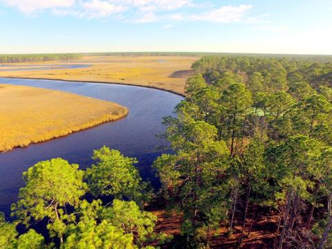 352 Jay Jay Way, Carrabelle, FL 32322 photo 10