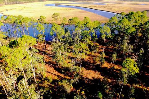 352 Jay Jay Way, Carrabelle, FL 32322 photo 2