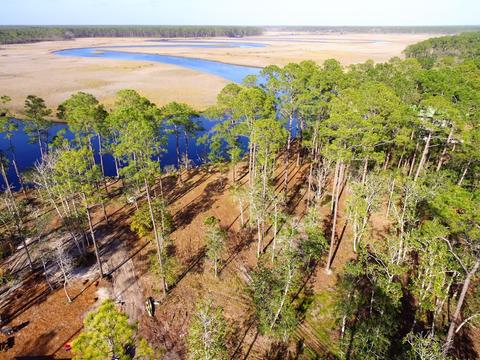 352 Jay Jay Way, Carrabelle, FL 32322 photo 12