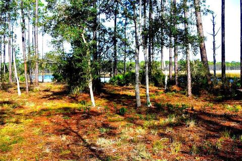 352 Jay Jay Way, Carrabelle, FL 32322 photo 11