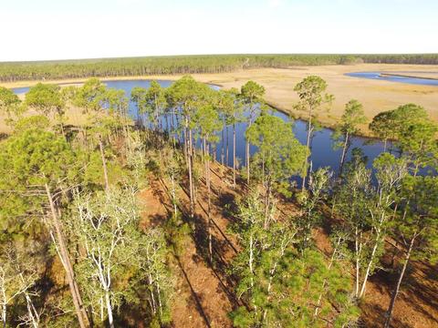352 Jay Jay Way, Carrabelle, FL 32322 photo 8
