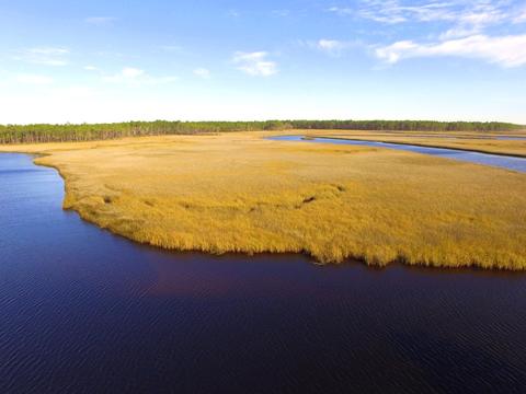 352 Jay Jay Way, Carrabelle, FL 32322 photo 9