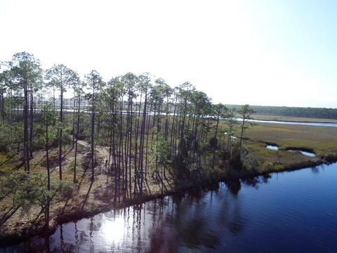 352 Jay Jay Way, Carrabelle, FL 32322 photo 1