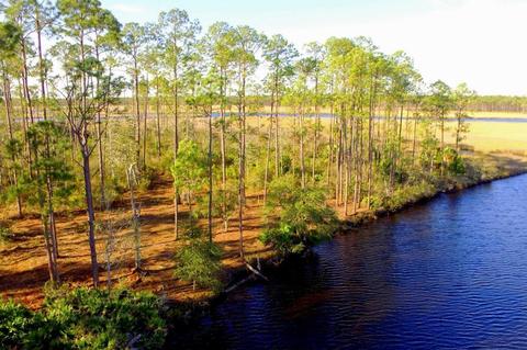 352 Jay Jay Way, Carrabelle, FL 32322 photo 5