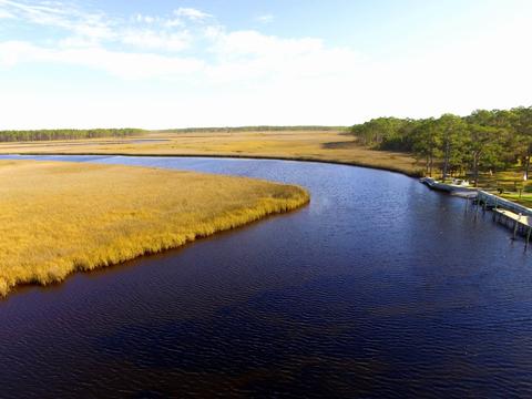 352 Jay Jay Way, Carrabelle, FL 32322 photo 7