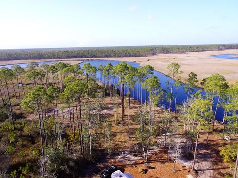 352 Jay Jay Way, Carrabelle, FL 32322 photo 14