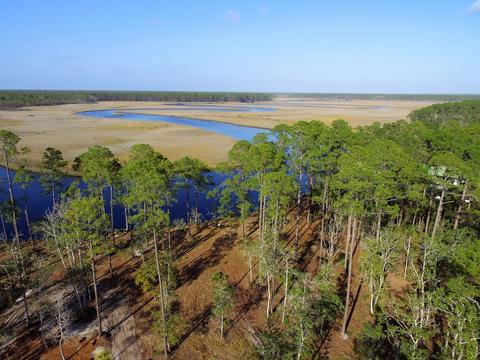 352 Jay Jay Way, Carrabelle, FL 32322 photo 13