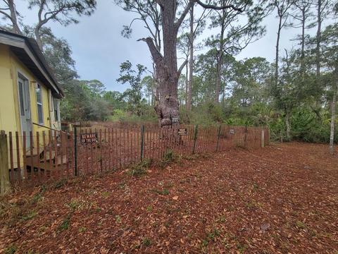 1737 Spacey Dr, Carrabelle, FL 32322 photo 8