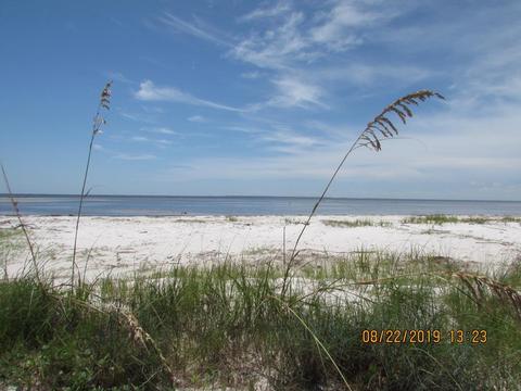 1737 Spacey Dr, Carrabelle, FL 32322 photo 42