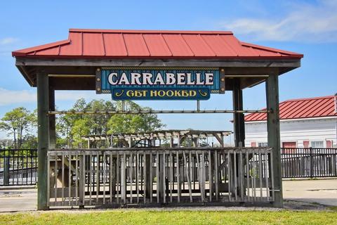 1737 Spacey Dr, Carrabelle, FL 32322 photo 33