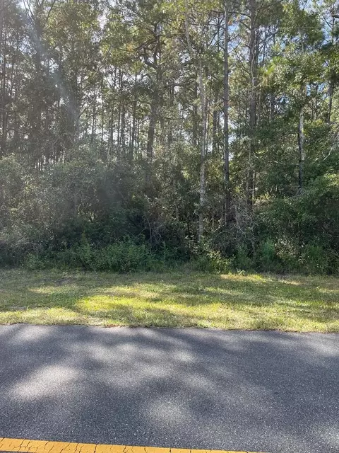 112 Elder St, Carrabelle, FL 32322 photo 2