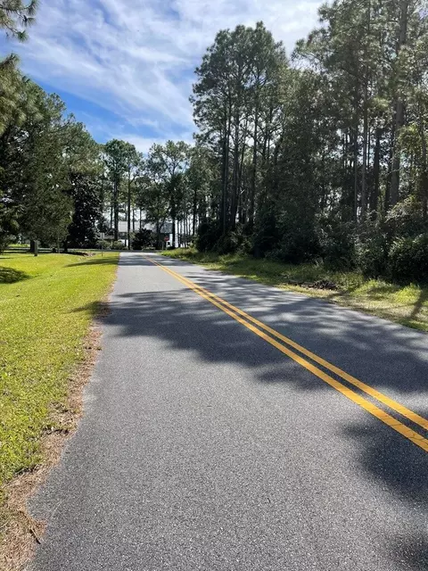 118 Elder St, Carrabelle, FL 32322 photo 2