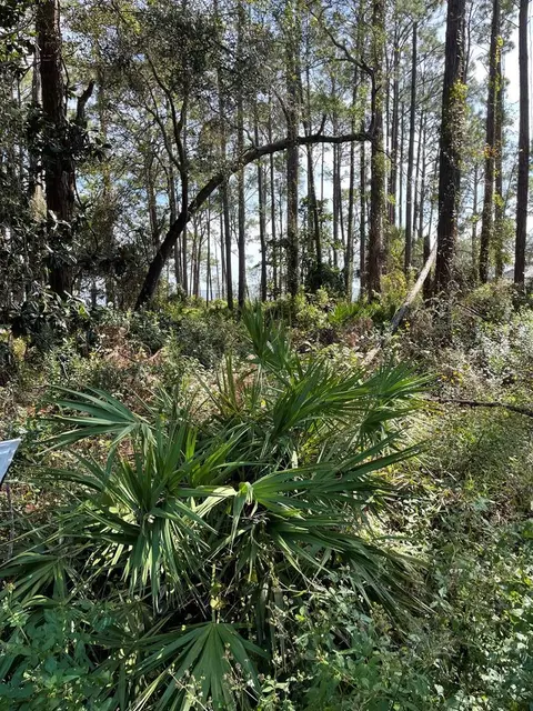 2500 Hwy 98 E, Carrabelle, FL 32322 photo 2