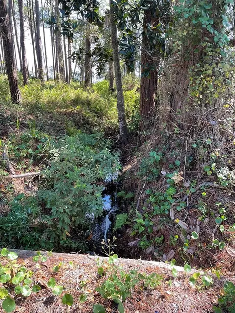 2500 Hwy 98 E, Carrabelle, FL 32322 photo 3