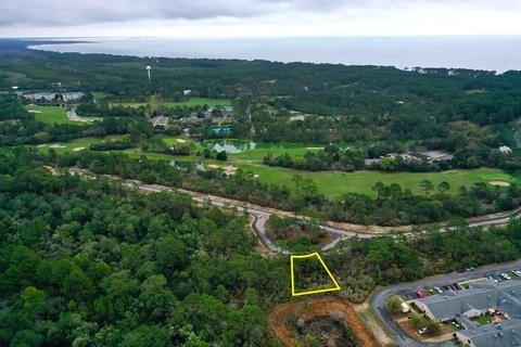 127 Anhinga Ct, Carrabelle, FL 32322 photo 11
