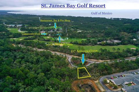 127 Anhinga Ct, Carrabelle, FL 32322 photo 1