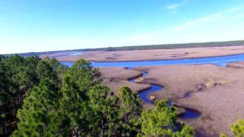 188 West Dr, Carrabelle, FL 32322 photo 2