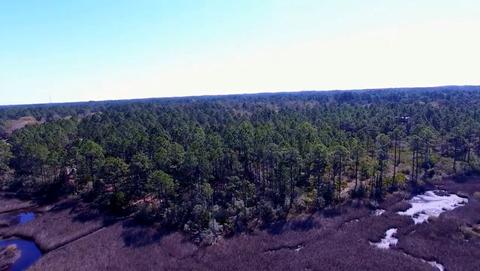 188 West Dr, Carrabelle, FL 32322 photo 3