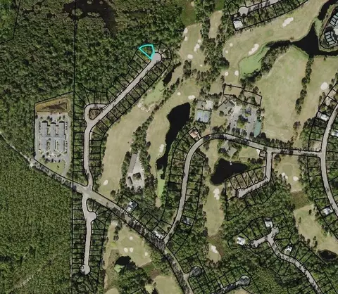 161 Anhinga Trl, Carrabelle, FL 32322 photo 2