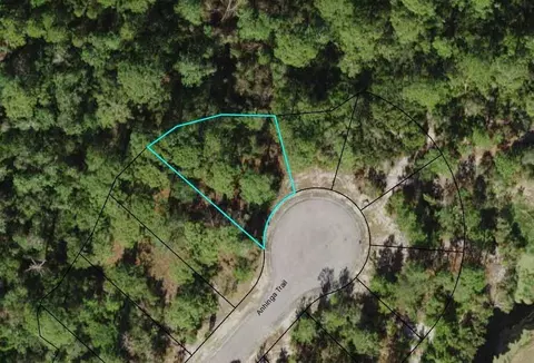 161 Anhinga Trl, Carrabelle, FL 32322 photo 1