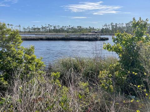670 N Canal Dr, Overstreet, FL 32456