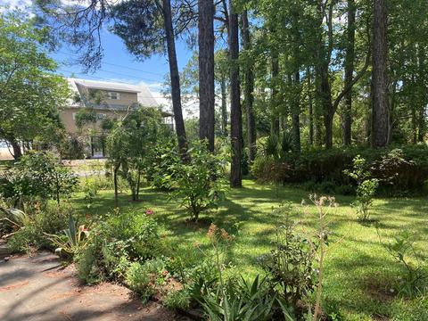 328 River Rd, Carrabelle, FL 32322 photo 10