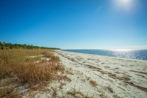 102 Haven Ct, Carrabelle, FL 32322 photo 31
