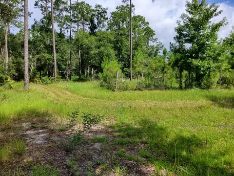 470 Hickory Hammock Rd, Carrabelle, FL 32322 photo 6