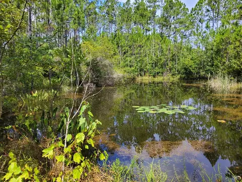 470 Hickory Hammock Rd, Carrabelle, FL 32322 photo 8