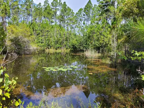 470 Hickory Hammock Rd, Carrabelle, FL 32322 photo 4