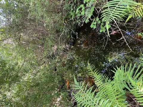 470 Hickory Hammock Rd, Carrabelle, FL 32322 photo 20