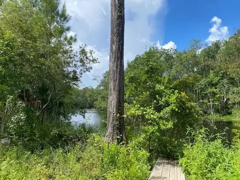 470 Hickory Hammock Rd, Carrabelle, FL 32322 photo 15