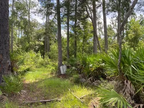 470 Hickory Hammock Rd, Carrabelle, FL 32322 photo 17