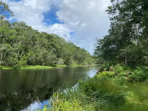470 Hickory Hammock Rd, Carrabelle, FL 32322 photo 16